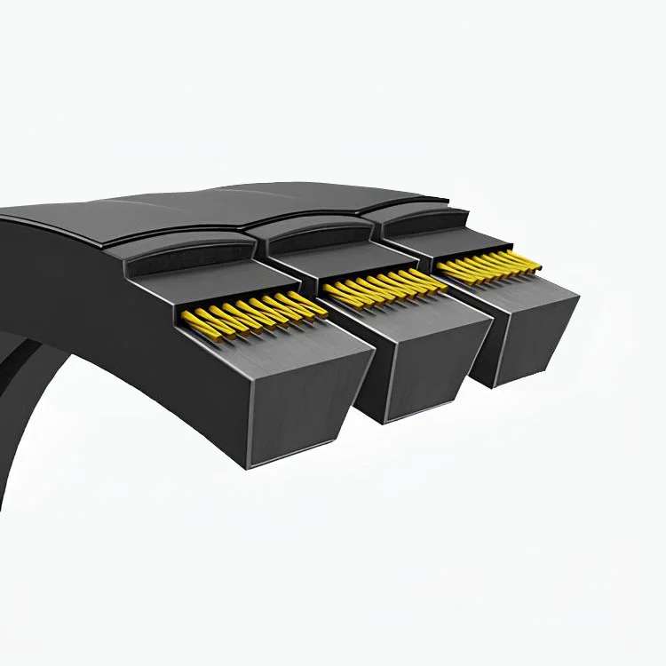 Correia pluribanda HSPC 2550 PIX DuraBand®-XS — 22×21 mm