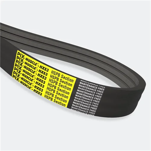 Correia pluribanda HSPB 6000 PIX MUSCLE®-HXS3 — 17×16 mm