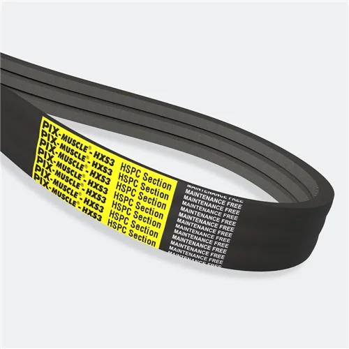 Correia pluribanda HSPC 10000 PIX MUSCLE®-HXS3 — 22×21 mm